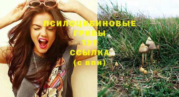 прущие крисы Медногорск