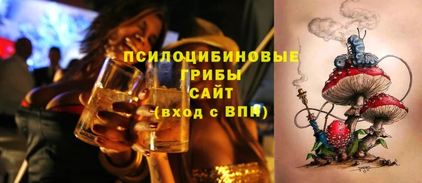 мдпв Медвежьегорск