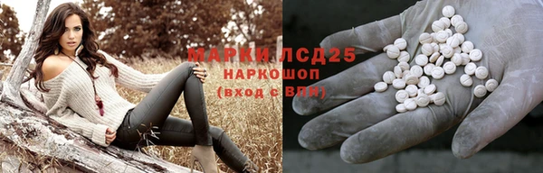 стаф Мегион
